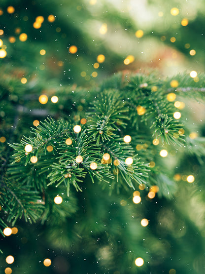 CHRISTMAS TREE BASE 聖誕樹基底油