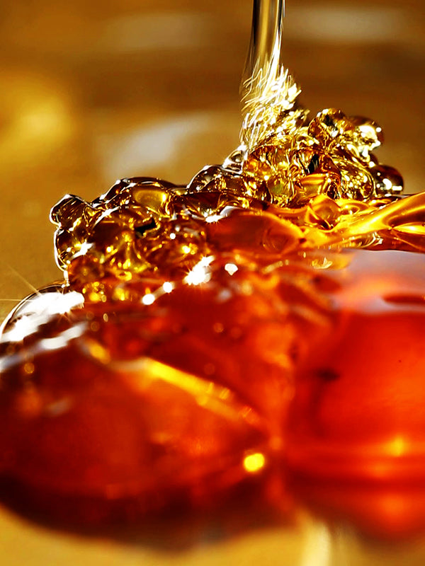 LABDANUM BASE 勞丹脂基底油