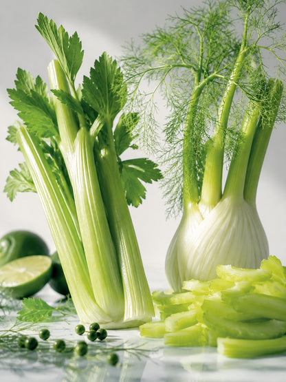 CW - Cedrat Ceruse = Fresh Fennel 清新茴香 (L'A Type)