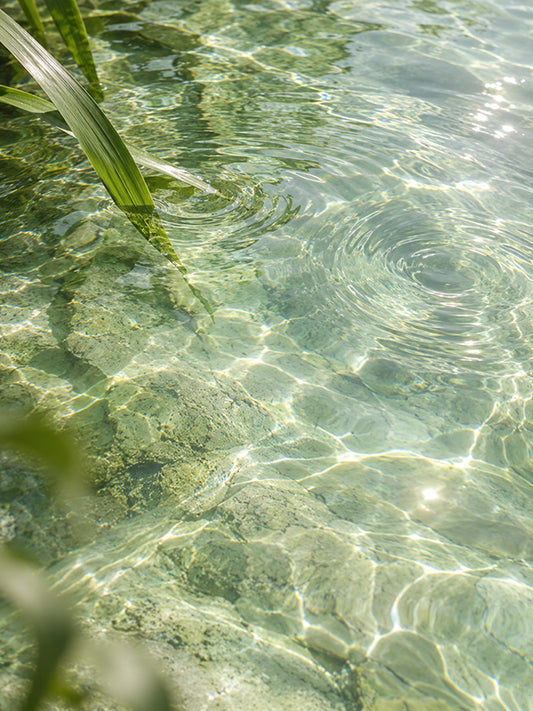 CALAMUS WATERY BASE 菖蒲水基底油