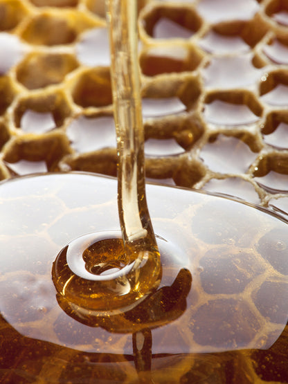 HONEY BASE 蜂蜜基底油