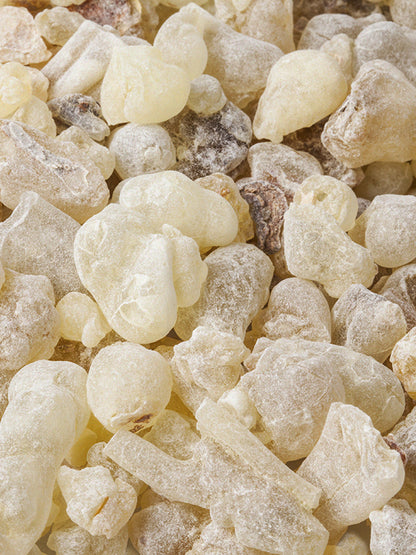 CW - Essential Oil 天然精油 (Pre-order 預訂) 2