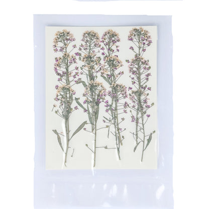 [清貨] Pressed Flower 壓花包