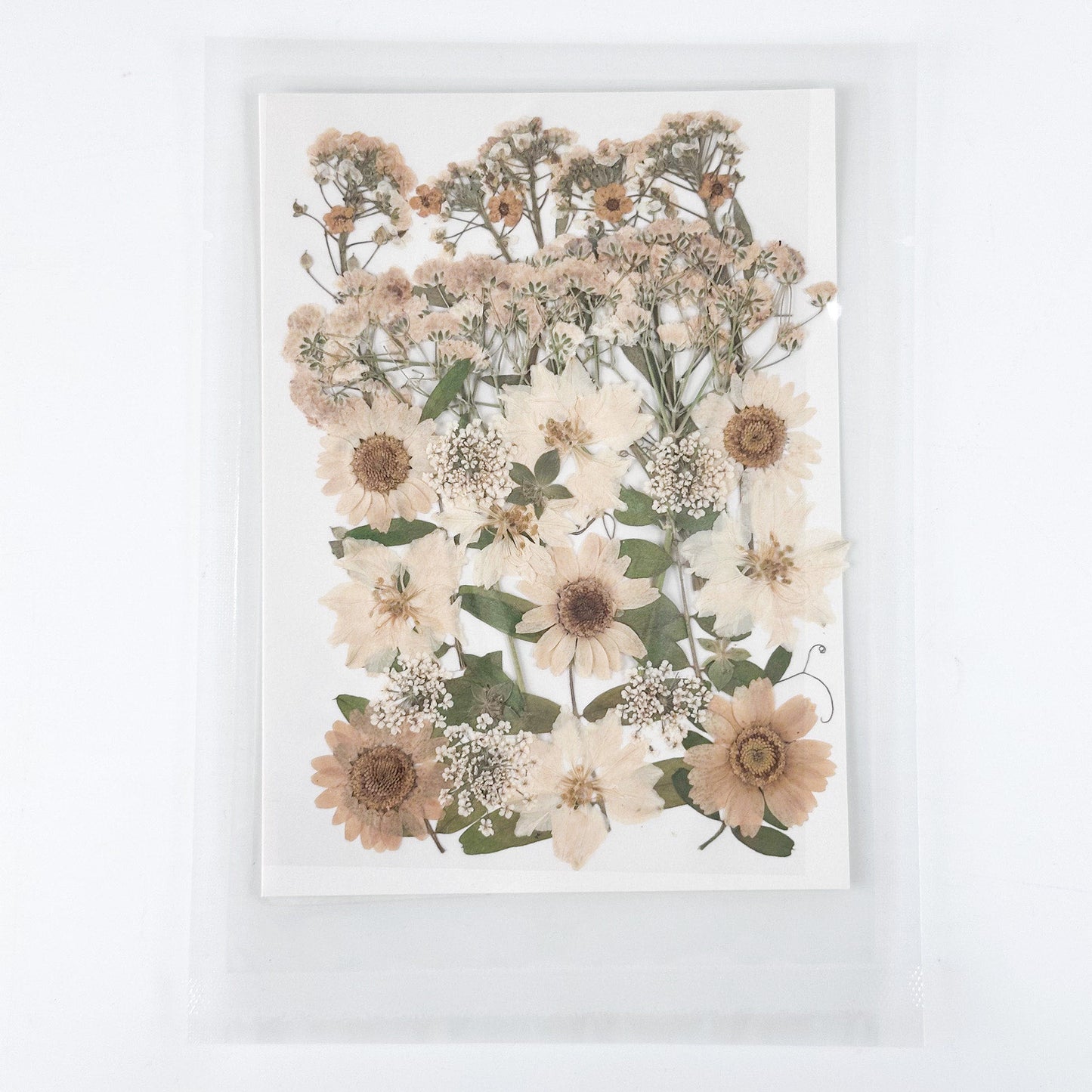 [清貨] Pressed Flower 壓花包