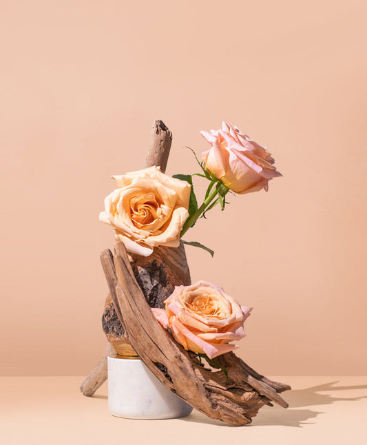 WW - DAMASCENA ROSE + OUD 大馬士革玫瑰與沉香木
