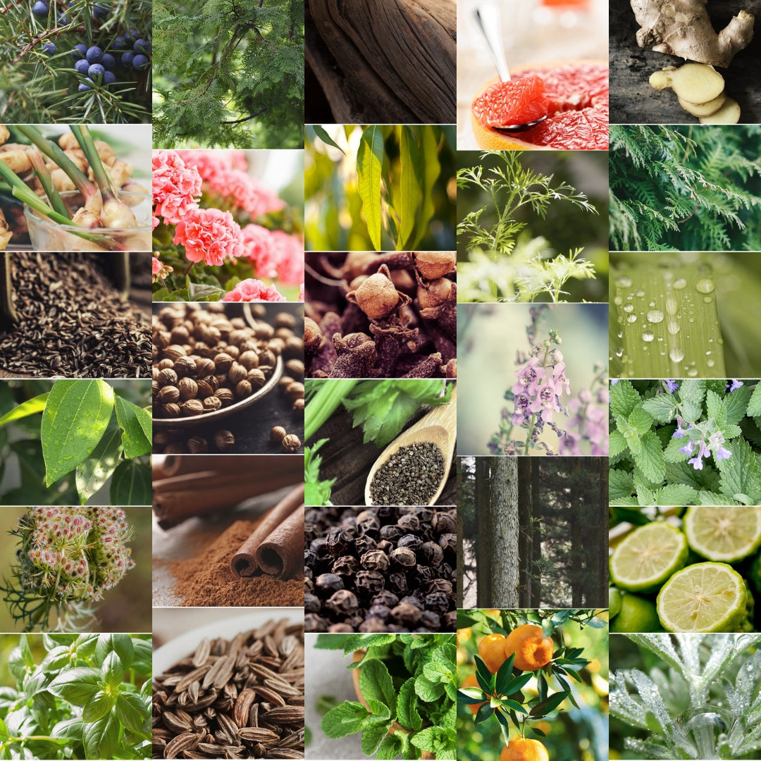 CW - Essential Oil 天然精油 (Pre-order 預訂) 3