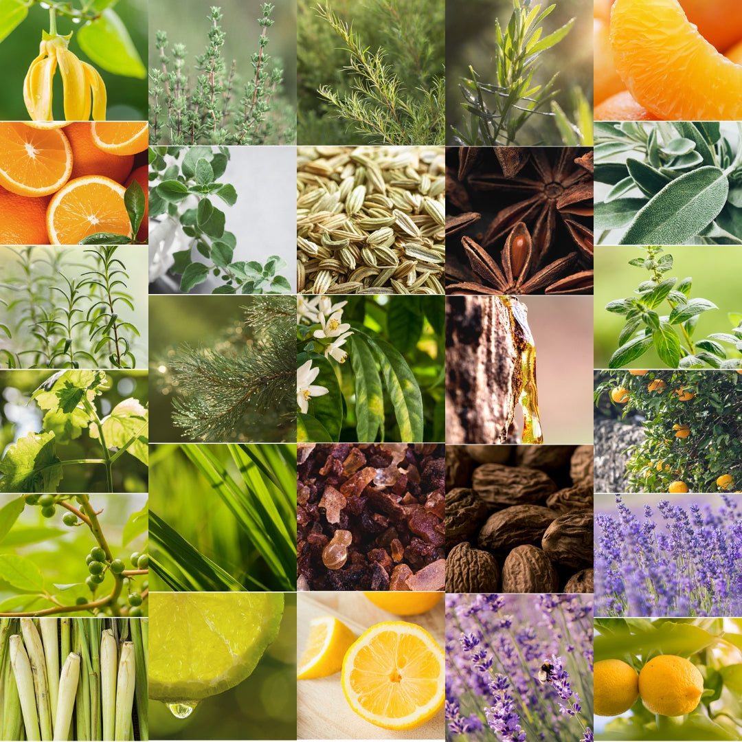 CW - Essential Oil 天然精油 (Pre-order 預訂) 4