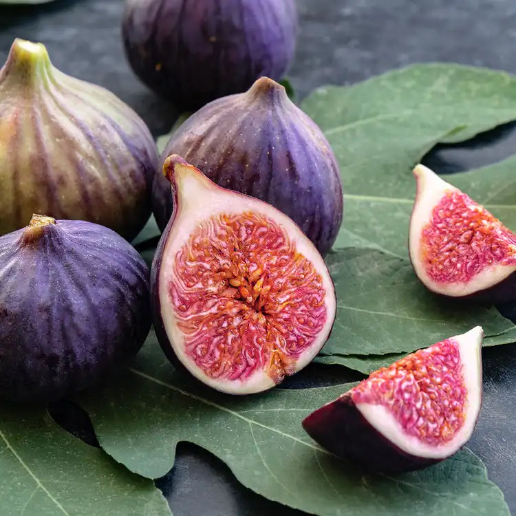 CS - Fig Leaf Element 無花果葉基底油