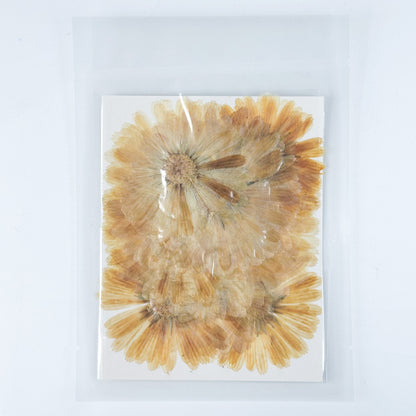 [清貨] Pressed Flower 壓花包