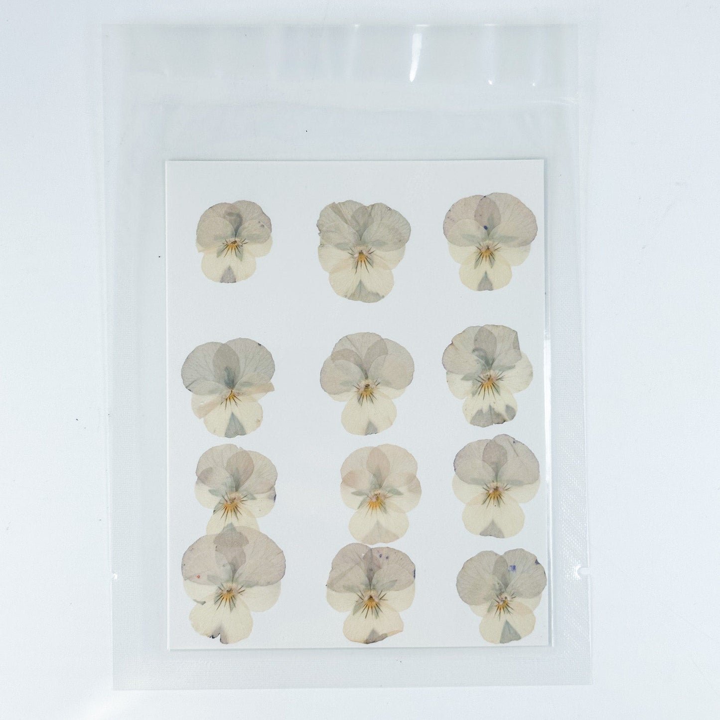 [清貨] Pressed Flower 壓花包