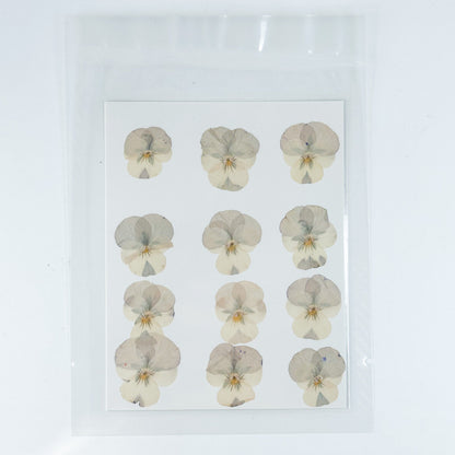 [清貨] Pressed Flower 壓花包