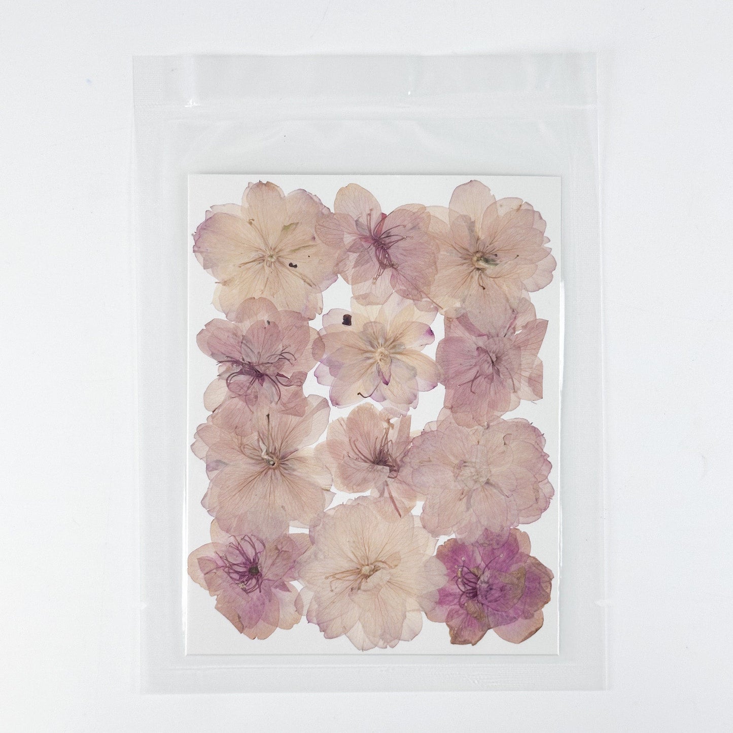 [清貨] Pressed Flower 壓花包