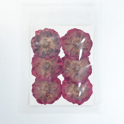 [清貨] Pressed Flower 壓花包