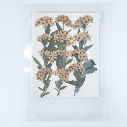 [清貨] Pressed Flower 壓花包