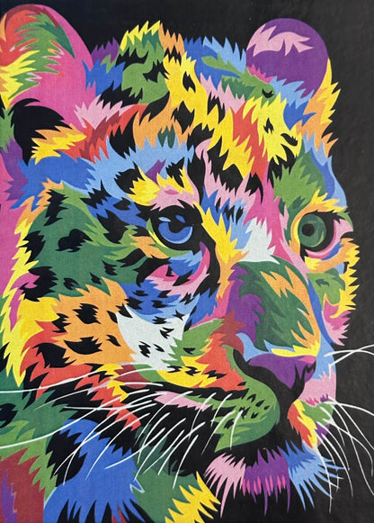 Painting by Numbers 數字油畫材料套裝 (現成框)