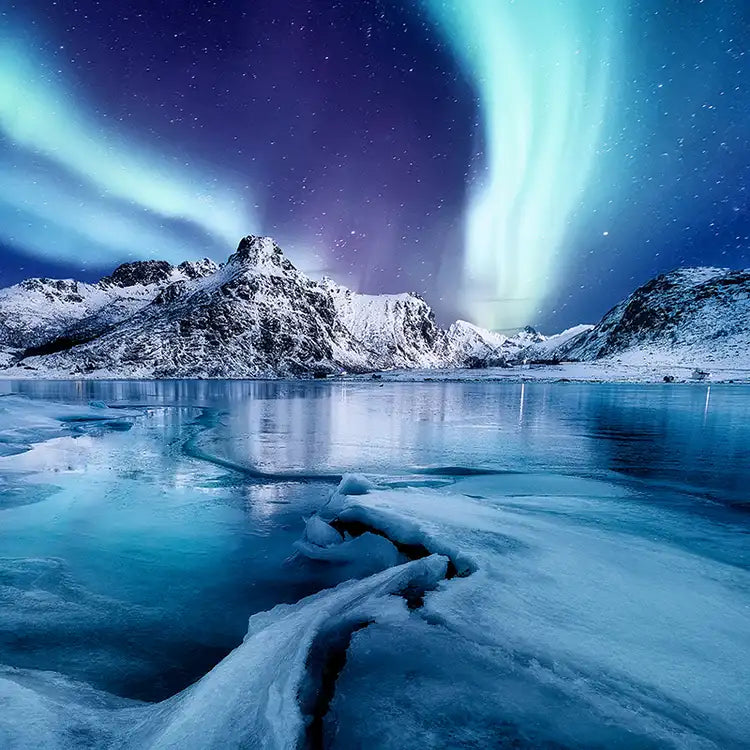 CS - Nordic Night 北歐之夜