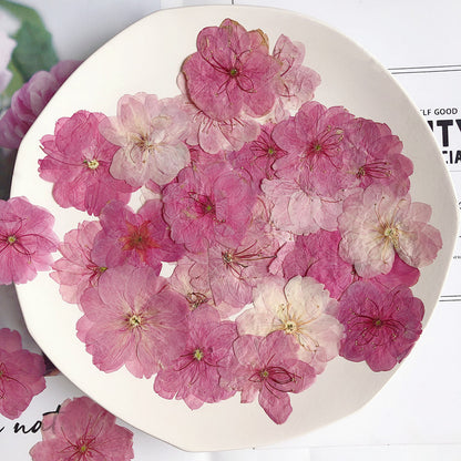 Pressed Cherry Blossom 櫻花壓花包 - PiC 粉紅色  (3-4cm)