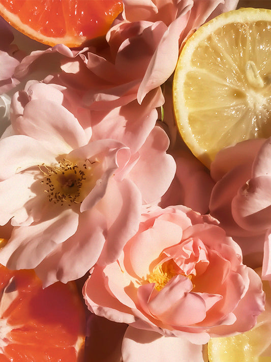 CW - Pamplemousse Rose 粉紅葡萄柚 (H Type)