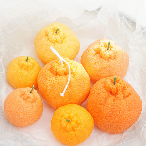 Orange / Tangerine Mold  橙/桔模具