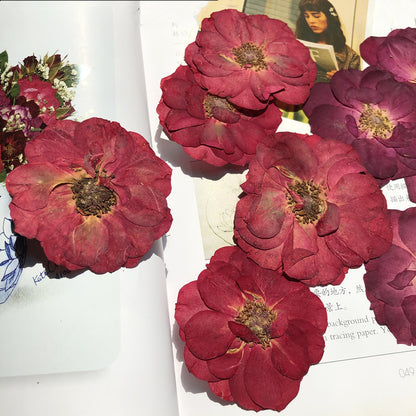 Pressed Rose 玫瑰花壓花包 - R1紅色 (5-6.5cm)