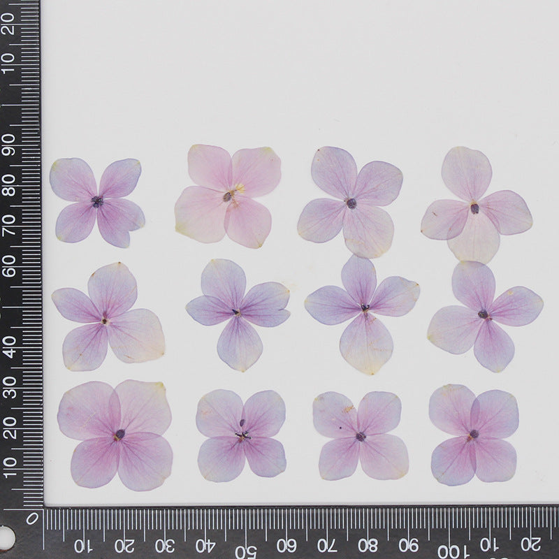 Pressed Hydrangea 綉球花壓花包 - PP粉紫色（30-35mm)