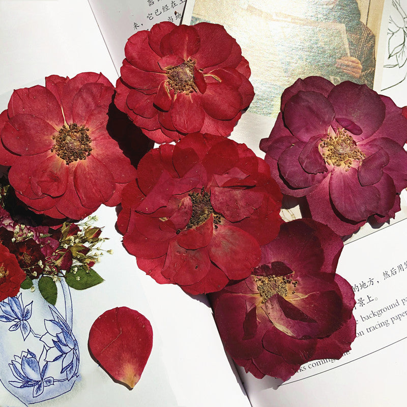 Pressed Rose 玫瑰花壓花包 - R1紅色 (5-6.5cm)