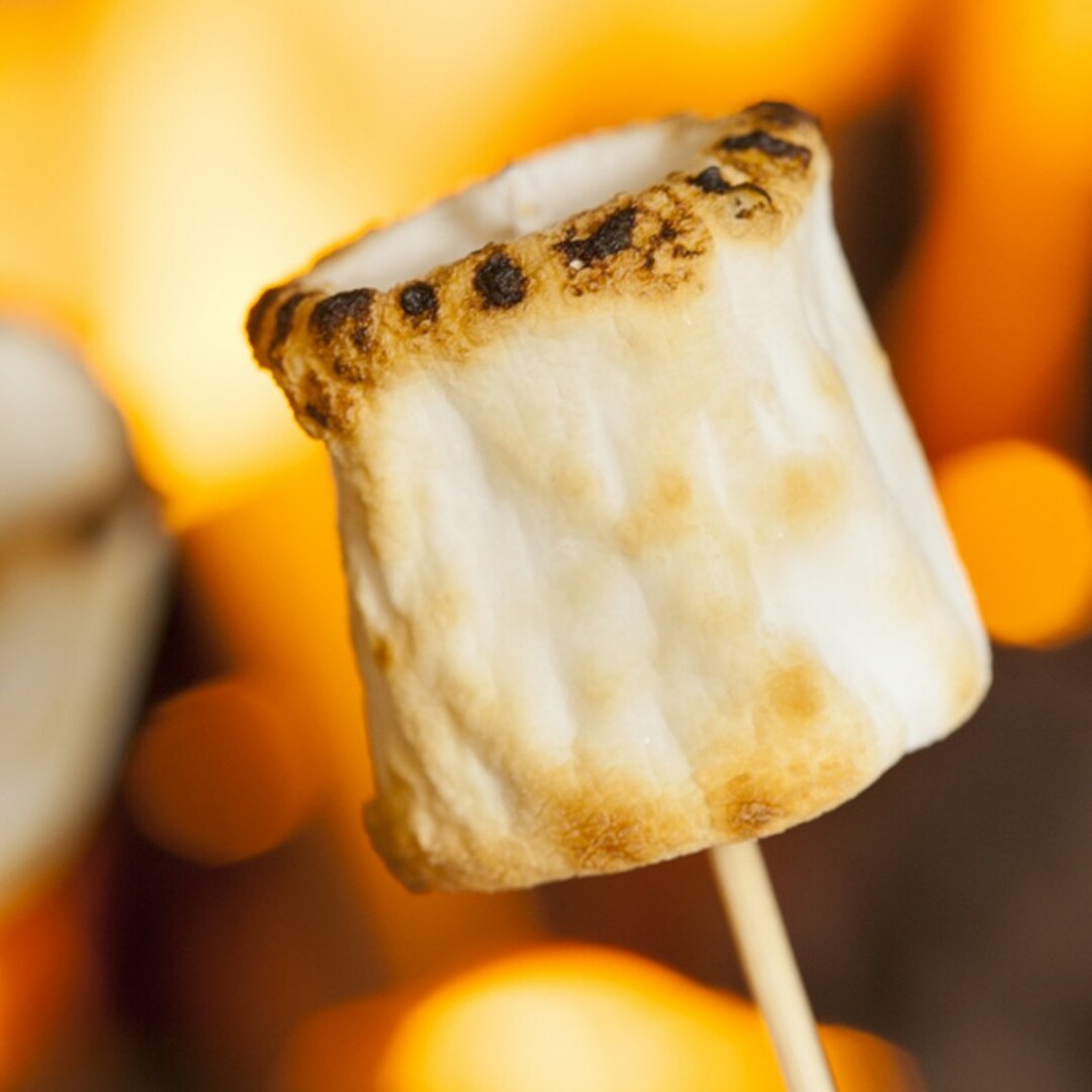 TFC - Fire Roasted Marshmallows 火烤棉花糖