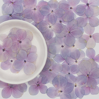 Pressed Hydrangea 綉球花壓花包 - PP粉紫色（30-35mm)