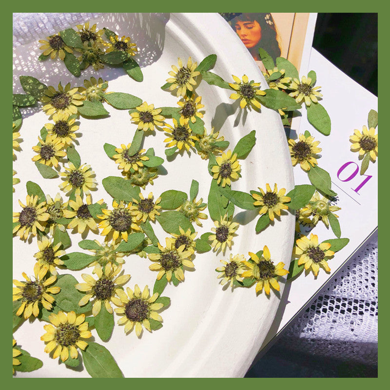 Mini Sunflower 迷你向日葵壓花包 - Ye 黃色  (1-2cm)