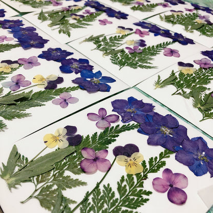 Pressed Dried Flower 壓花乾花包 - (D Purple 紫色)