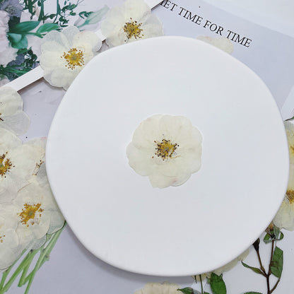 Pressed White Rose 玫瑰花壓花包 - W1 白色 (3-5cm)