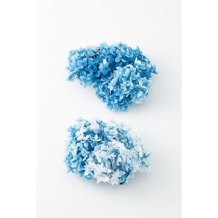 EARTH MATTERS Preserved Flower 大地農園永生繡球花 Gradient Blue & White