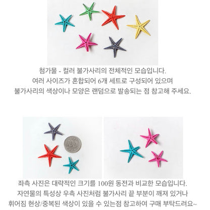 GCS - Starfish 彩色海星  [BS10] （6件/套）