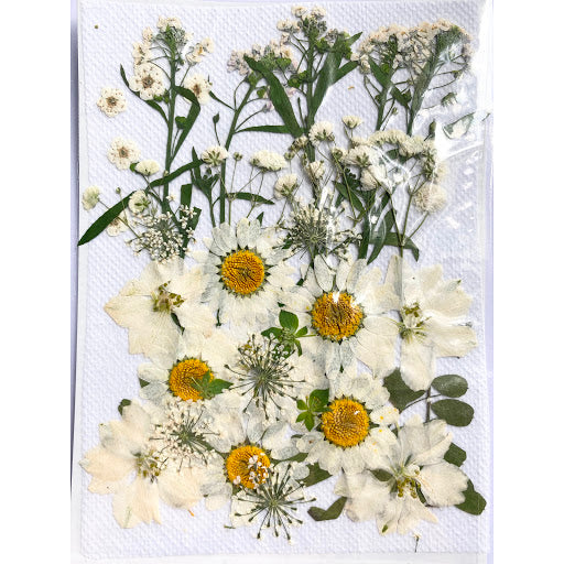 Pressed Dried Flower 壓花乾花包 (A White 白色) AW1
