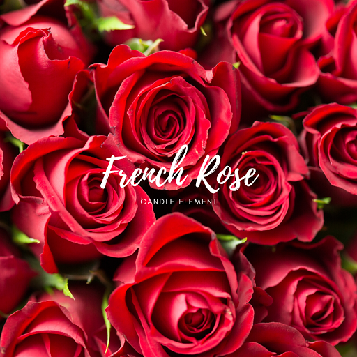 French Rose 法式玫瑰