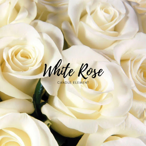 White Rose 白玫瑰花 (Dark Brown 深褐色)