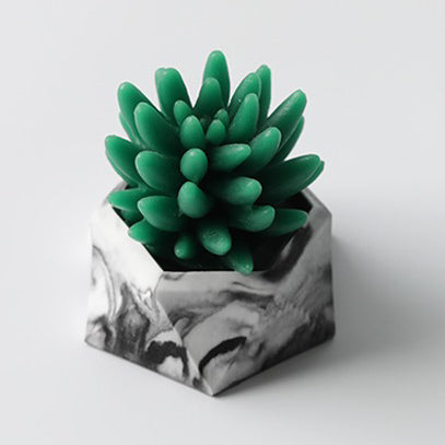 Cactus Mould #1 仙人掌模具