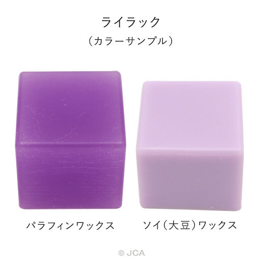 Pigment Chips #07 Purple 紫色顏料片