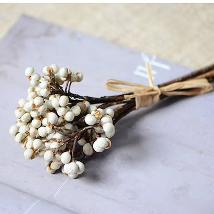 Decorative White Seed 小白果 30g