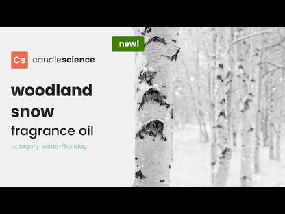 CS - Woodland Snow 森林雪