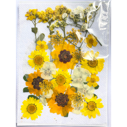 Pressed Dried Flower 壓花乾花包 (A Yellow 黃色) Y1