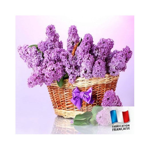 TDB - Lilac 紫丁香