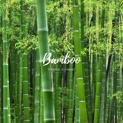 Bamboo 竹葉
