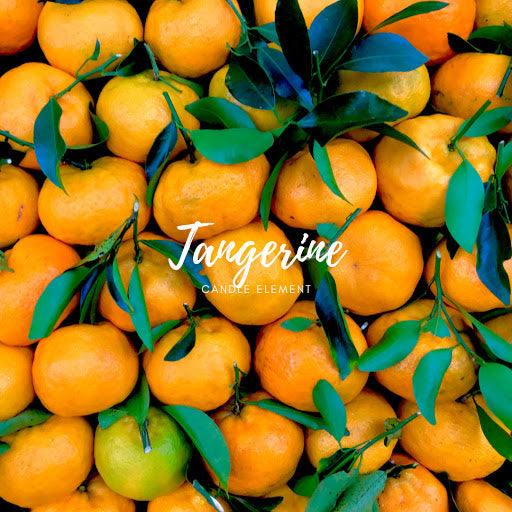 Tangerine 柑橘/桔子