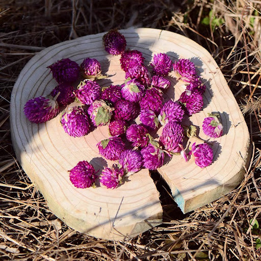 Dried Globe Amaranth 千日红乾花 - 紅色/紫色/粉红 100g